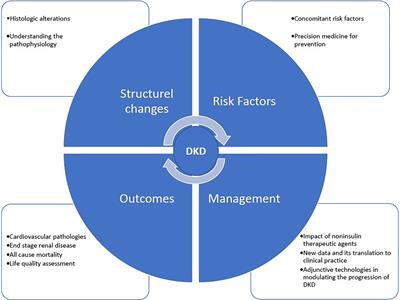 Challenges in the Prevention and Management of Diabetic Kidney Diseases
